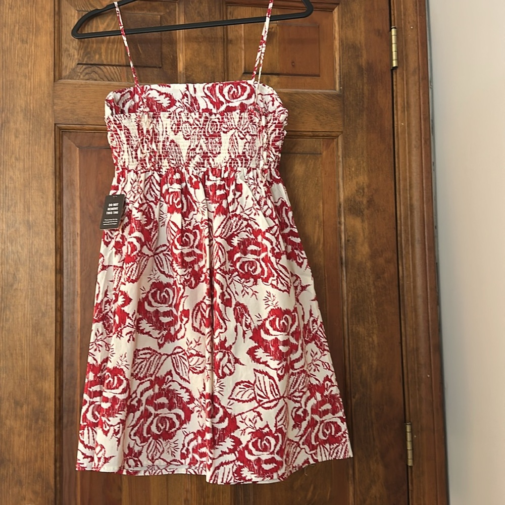 Express Dress - Picture 4 of 4